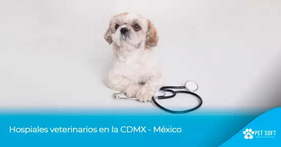 Hospiales veterinarios en la CDMX - México