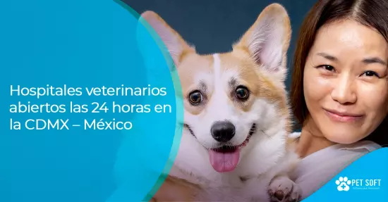 Hospitales veterinarios abiertos las 24 horas en la CDMX – México