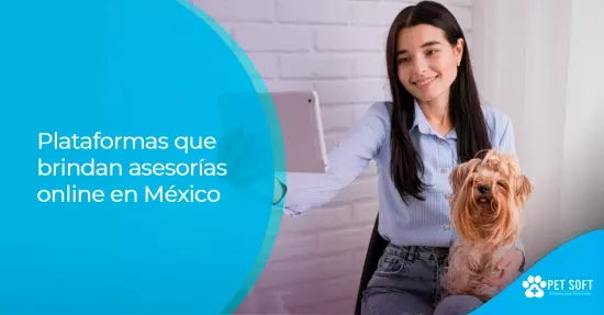 Plataformas que brindan asesorías online en México