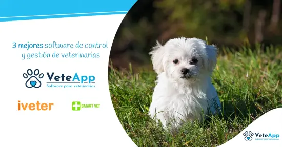 3 mejores software de control y gestión de veterinarias