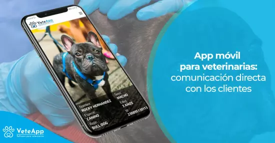 App móvil para veterinarias: comunicación directa con los clientes