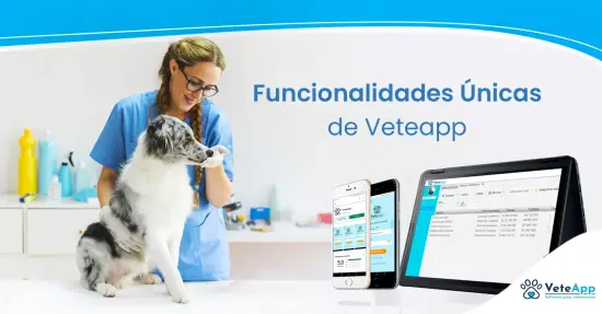 Funcionalidades únicas de VeteApp 