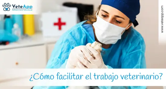 ¿Cómo facilitar el trabajo veterinario? Cuando la tecnología es la respuesta.