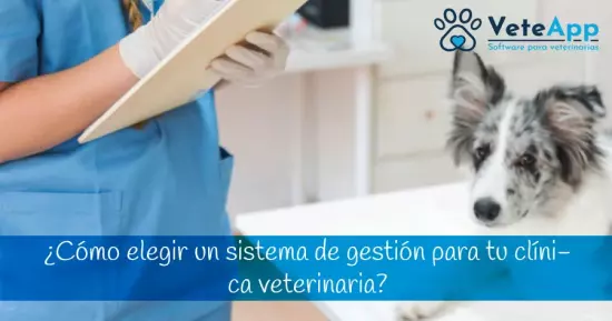 ¿Cómo elegir un sistema de gestión para tu clínica veterinaria?