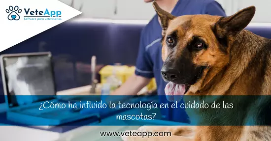 ¿Cómo ha influido la tecnología en el cuidado de las mascotas?