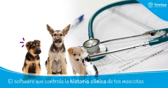 El software que controla la historia clínica de las mascotas