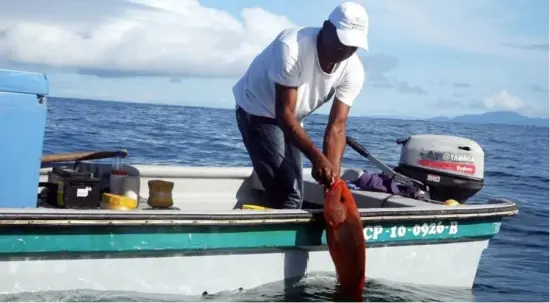 Ingenieros chocoanos crean un ‘app’ para vender pescado fresco