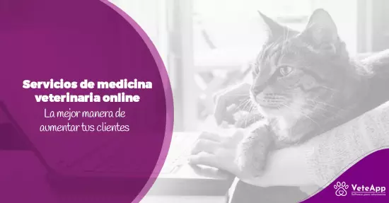 Servicios de medicina veterinaria online, la mejor manera de aumentar tus clientes
