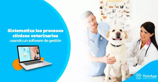 Sistematiza los procesos clínicos veterinarios, usando un software de gestión 