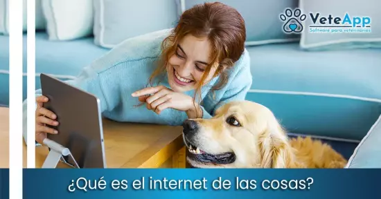 Qué es el internet de las mascotas