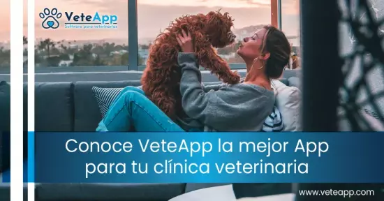 Conoce VeteApp. La mejor APP para tu clínica veterinaria