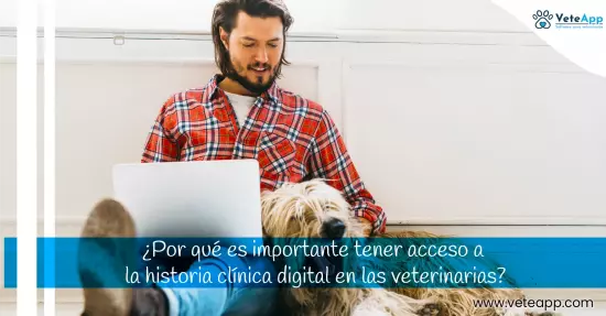 ¿Por qué es importante tener acceso a la historia clínica digital en las veterinarias?