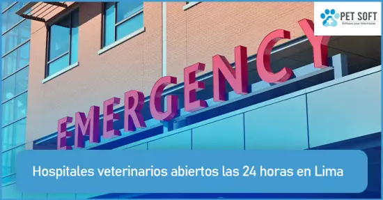 Hospitales veterinarios abiertos las 24 horas en Lima