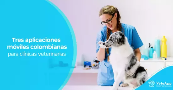 Tres aplicaciones móviles colombianas para clínicas veterinarias