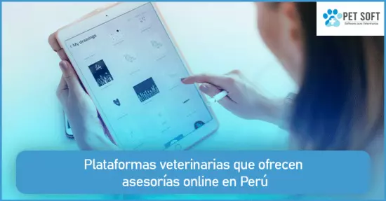 Plataformas veterinarias que ofrecen asesorías online en Perú