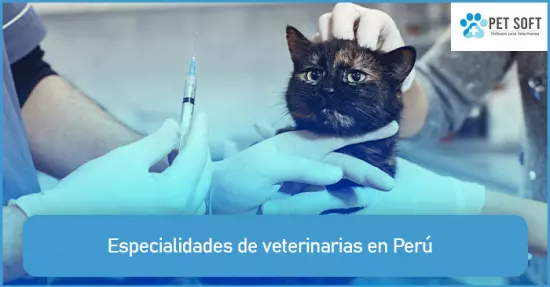 Especialidades de veterinarias en Perú