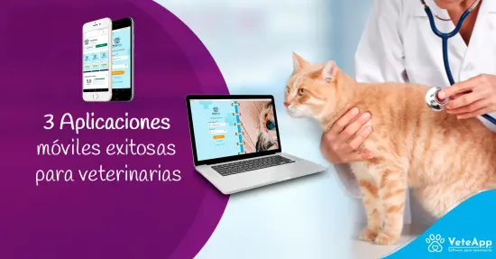 3 Aplicaciones móviles exitosas para veterinarias 3 Aplicaciones móviles exitosas para veterinarias