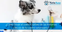 ¿Cómo llevar el control óptimo de las historias clínicas de tu centro veterinario? ¿Cómo llevar el control óptimo de las historias clínicas de tu centro veterinario?