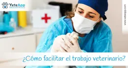 ¿Cómo facilitar el trabajo veterinario? Cuando la tecnología es la respuesta. ¿Cómo facilitar el trabajo veterinario? Cuando la tecnología es la respuesta.