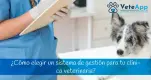 ¿Cómo elegir un sistema de gestión para tu clínica veterinaria? ¿Cómo elegir un sistema de gestión para tu clínica veterinaria?