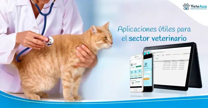 Aplicaciones útiles para el sector veterinario Aplicaciones útiles para el sector veterinario