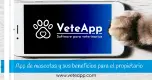 App de mascotas y sus beneficios para el propietario App de mascotas y sus beneficios para el propietario