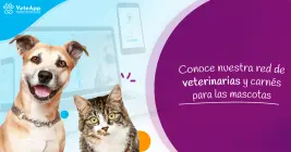 Conoce nuestra red de veterinarias y carnés para las mascotas Conoce nuestra red de veterinarias y carnés para las mascotas