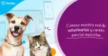 Conoce nuestra red de veterinarias y carnés para las mascotas Conoce nuestra red de veterinarias y carnés para las mascotas