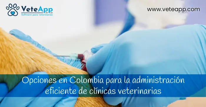 Opciones en Colombia para la administración eficiente de clínicas veterinarias Opciones en Colombia para la administración eficiente de clínicas veterinarias