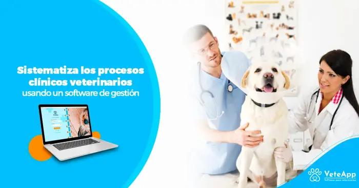 Sistematiza los procesos clínicos veterinarios, usando un software de gestión  Sistematiza los procesos clínicos veterinarios, usando un software de gestión
