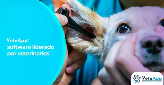 VeteApp: software liderado por veterinarios 