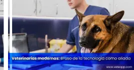 Veterinarias modernas: el uso de la tecnología como aliada Veterinarias modernas: el uso de la tecnología como aliada