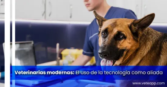 Veterinarias modernas: el uso de la tecnología como aliada Veterinarias modernas: el uso de la tecnología como aliada