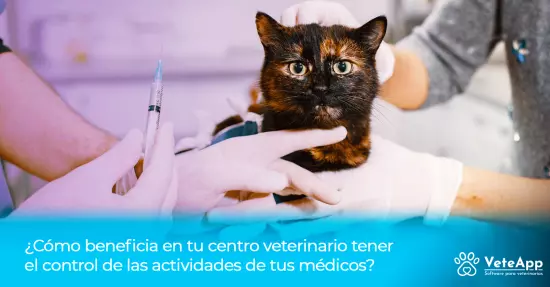 ¿Cómo beneficia en tu centro veterinario tener el control de las actividades de tus médicos?