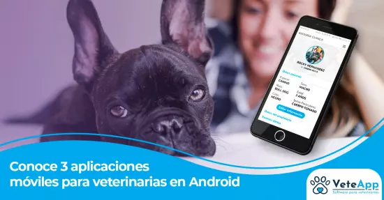 Conoce 3 aplicaciones móviles para veterinarias en Android