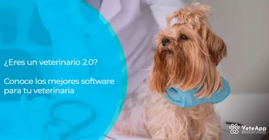 ¿Eres un veterinario 2.0? Conoce los mejores software para tu veterinaria