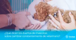 ¿Qué dicen los dueños de mascotas sobre cambiar constantemente de veterinario? ¿Qué dicen los dueños de mascotas sobre cambiar constantemente de veterinario?