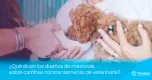 ¿Qué dicen los dueños de mascotas sobre cambiar constantemente de veterinario? ¿Qué dicen los dueños de mascotas sobre cambiar constantemente de veterinario?