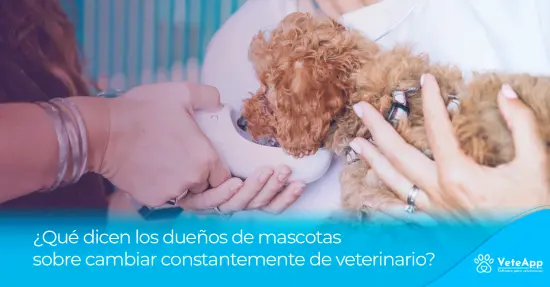 ¿Qué dicen los dueños de mascotas sobre cambiar constantemente de veterinario? ¿Qué dicen los dueños de mascotas sobre cambiar constantemente de veterinario?