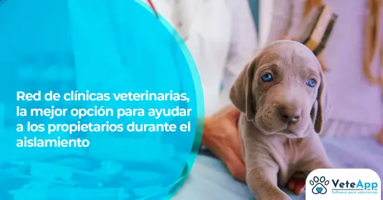 Red de clínicas veterinarias, la mejor opción para ayudar a los propietarios durante el aislamiento