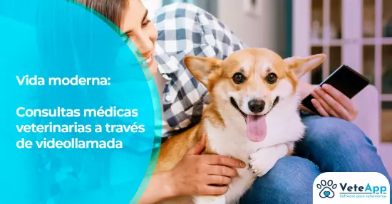 Vida moderna: consultas médicas veterinarias a través de videollamada