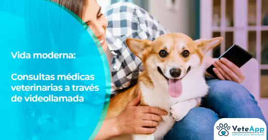 Vida moderna: consultas médicas veterinarias a través de videollamada Vida moderna: consultas médicas veterinarias a través de videollamada
