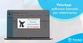 VeteApp: software liderado por veterinarios  VeteApp: software liderado por veterinarios