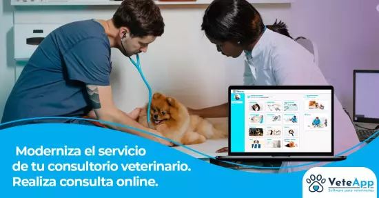  Moderniza el servicio de tu consultorio veterinario. Realiza consulta online.